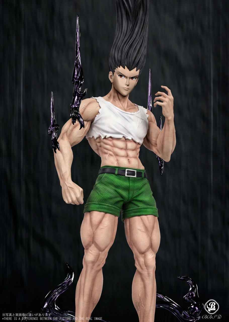 Preventa Resina Gon Frecss Figura Hunter x Hunter BBSD Estudio