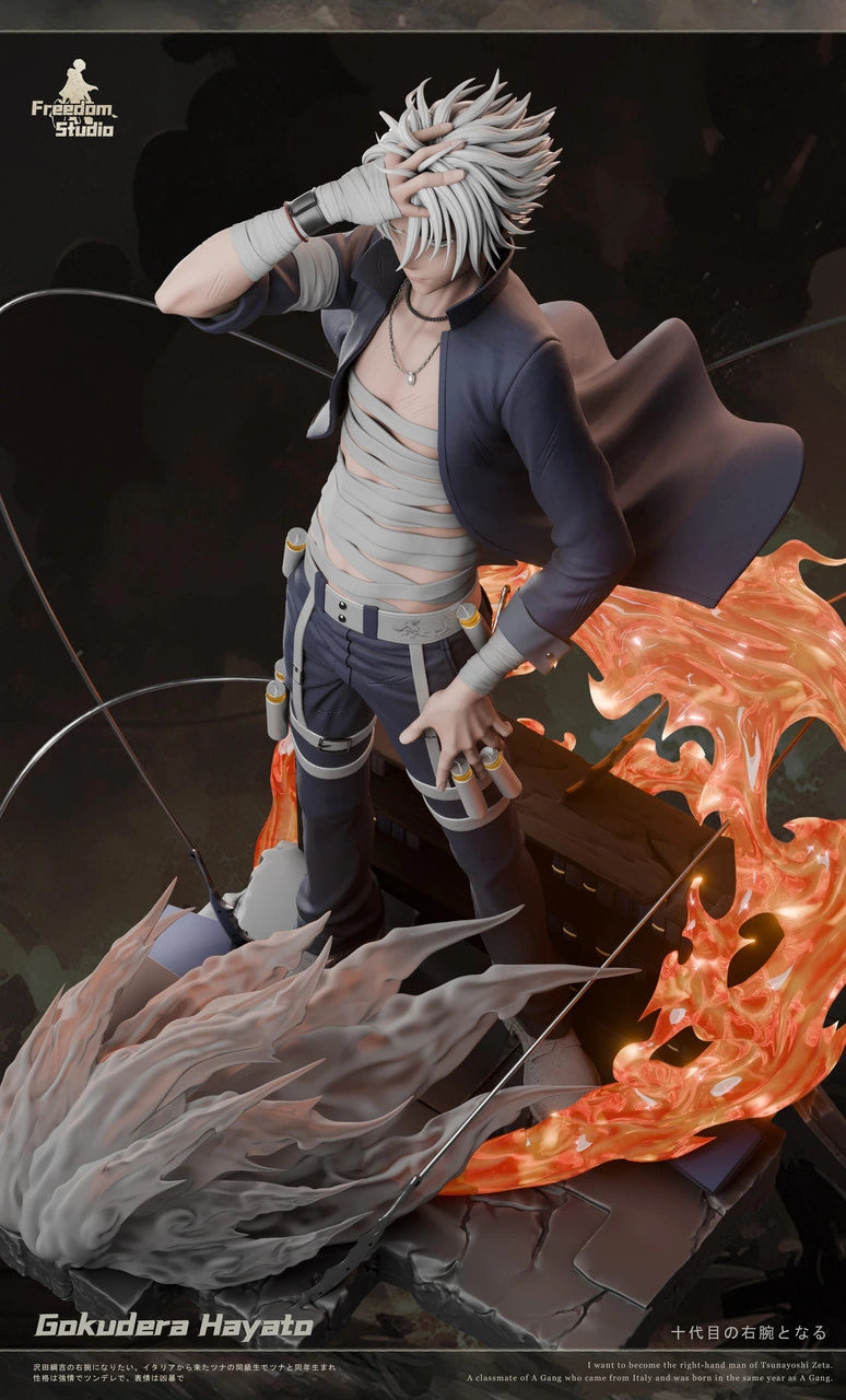 Preventa Resina Gokudera Hayato Figura Katekyo Hitman Reborn! Freedom Estudio