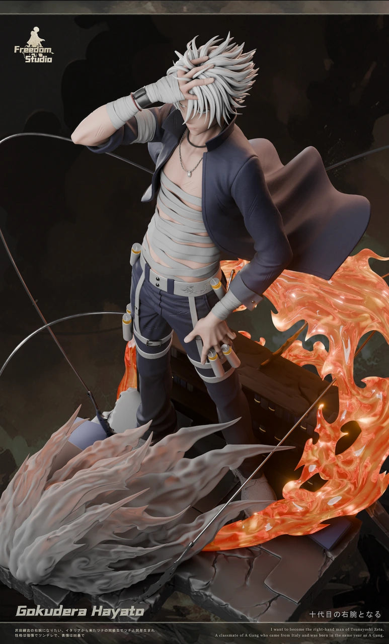 Preventa Resina Gokudera Hayato Figura Katekyo Hitman Reborn! Freedom Estudio