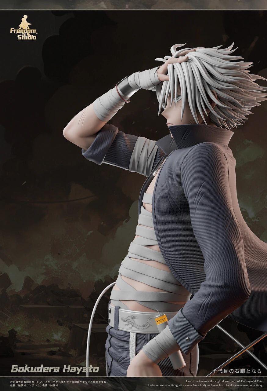 Preventa Resina Gokudera Hayato Figura Katekyo Hitman Reborn! Freedom Estudio