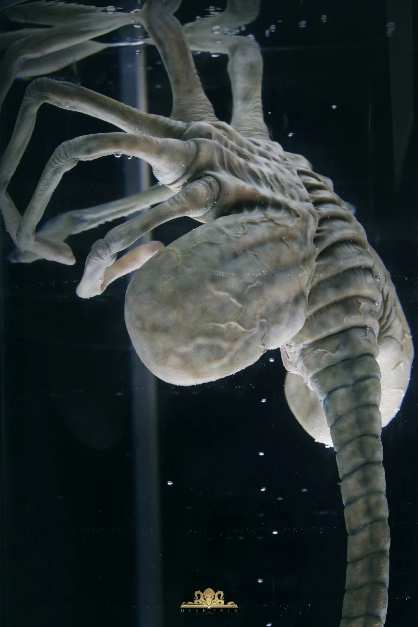 Preventa Resina Abrazacaras Figura Alien: Romulus Deep Tale Estudio
