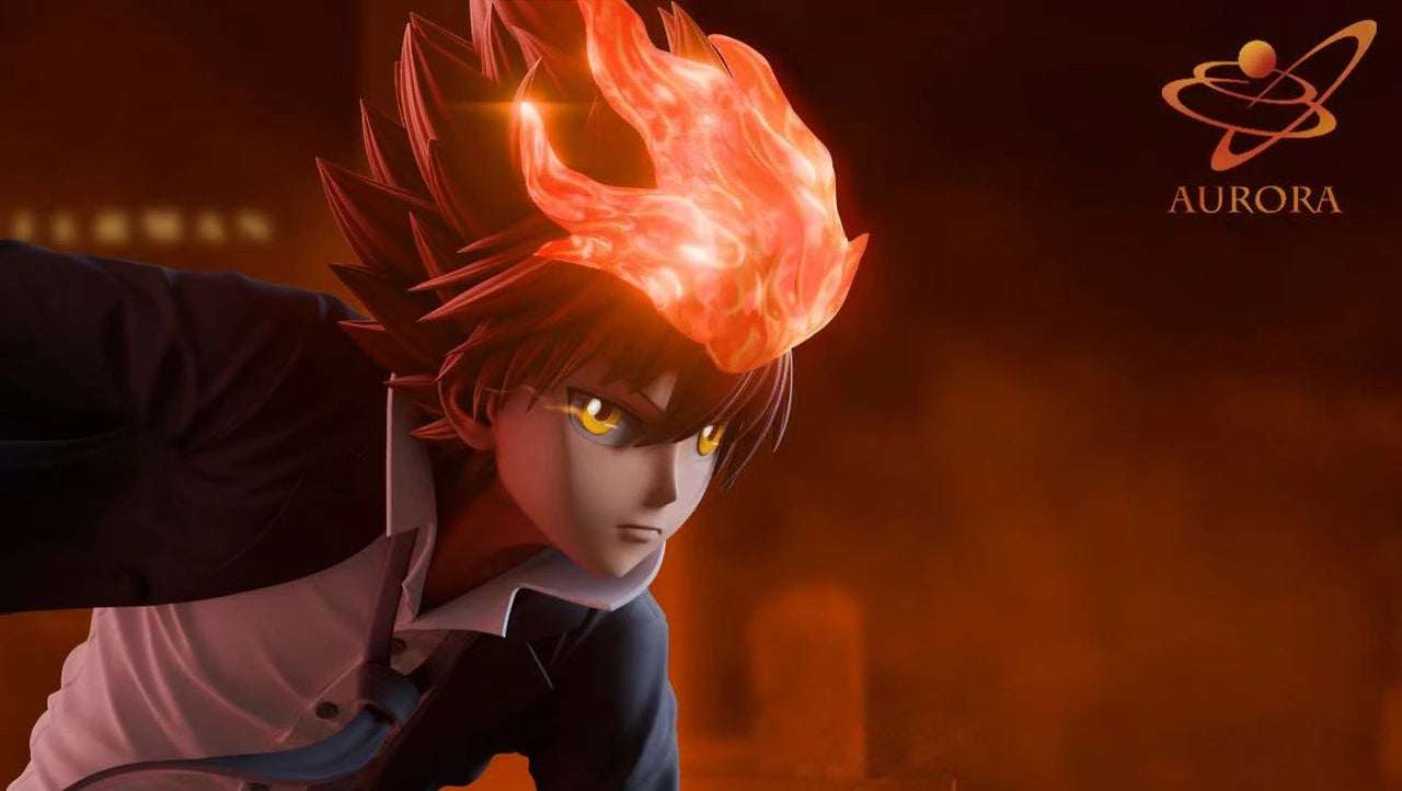 Preventa Resina Tsunayoshi Sawada Figura Katekyo Hitman Reborn! Aurora  Estudio
