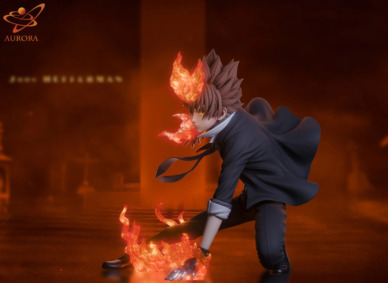 Preventa Resina Tsunayoshi Sawada Figura Katekyo Hitman Reborn! Aurora  Estudio