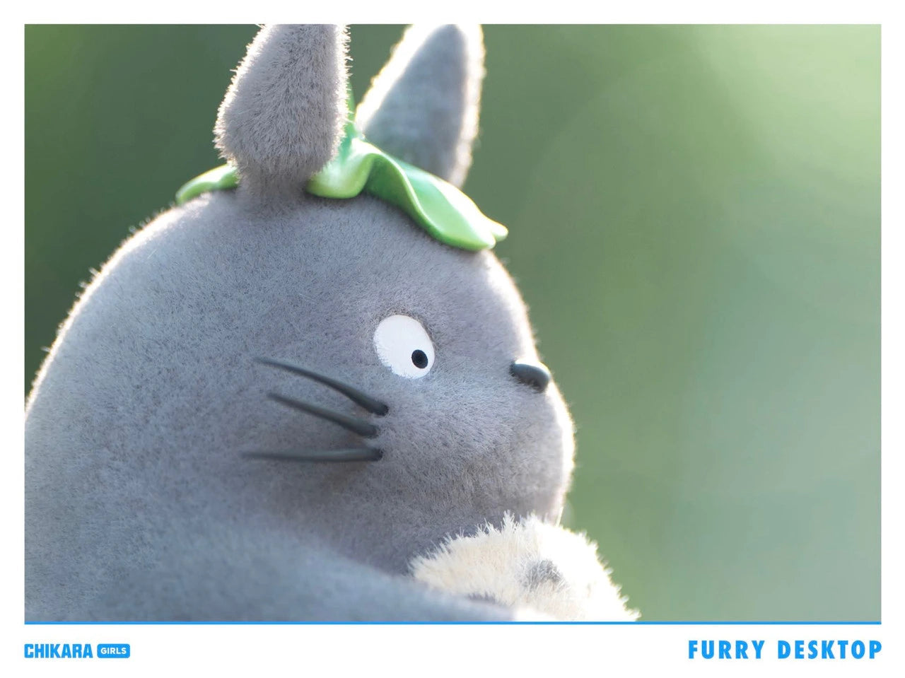 Preventa Resina Totoro Figura Mi Vecino Totoro Chikara Estudio