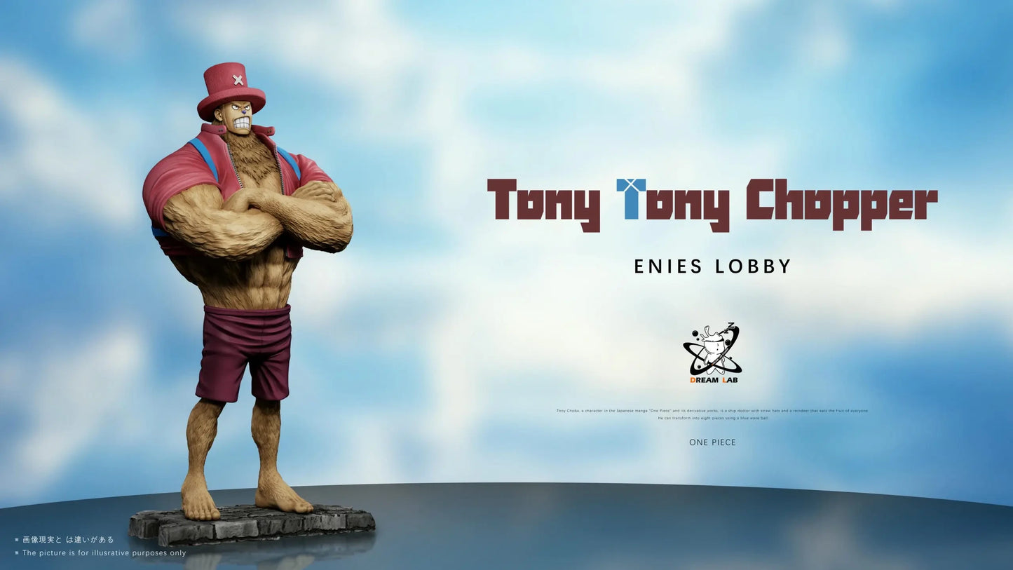 Preventa Resina Chooper & Sanji Figura One Piece  Dream Lab Estudio