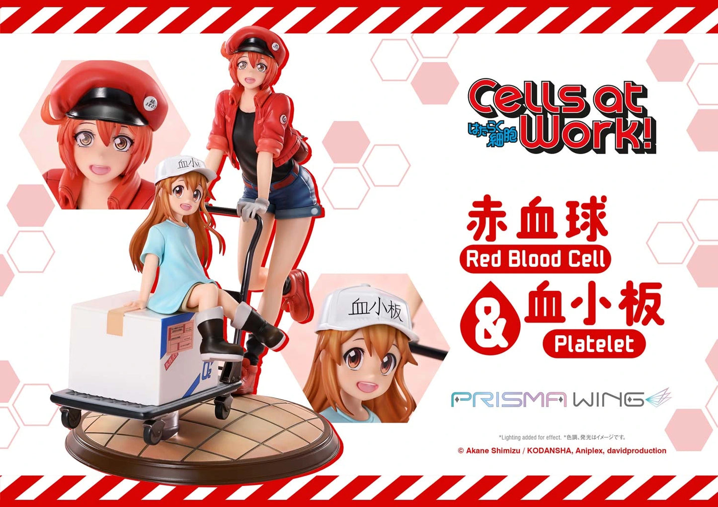 Preventa Resina Glóbulo Rojo & Plaquetas Figura Cells at Work Prime 1 (Licencia) Estudio