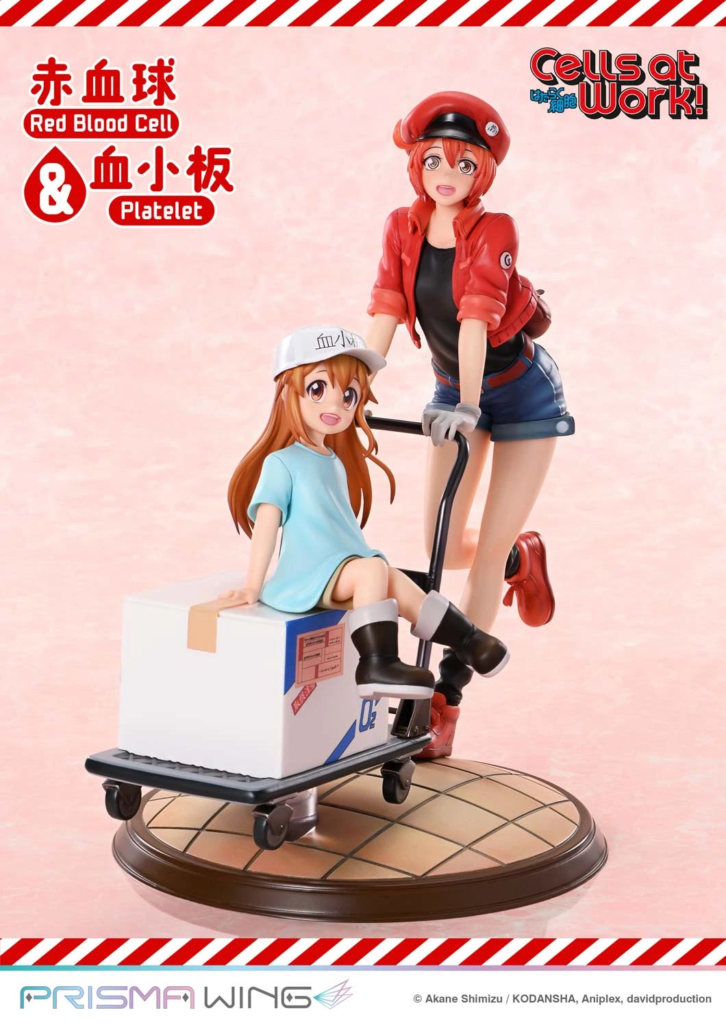 Preventa Resina Glóbulo Rojo & Plaquetas Figura Cells at Work Prime 1 (Licencia) Estudio