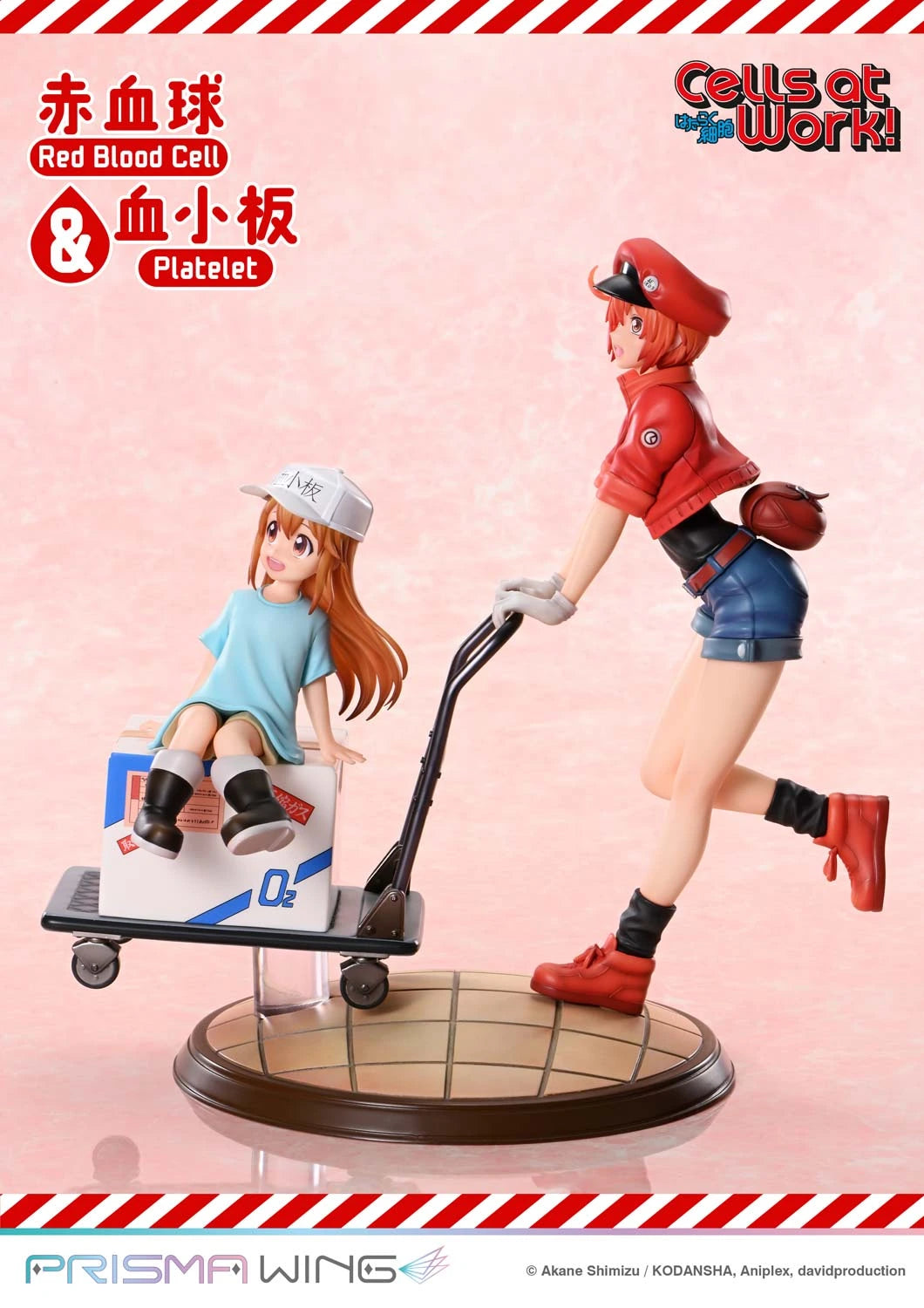 Preventa Resina Glóbulo Rojo & Plaquetas Figura Cells at Work Prime 1 (Licencia) Estudio