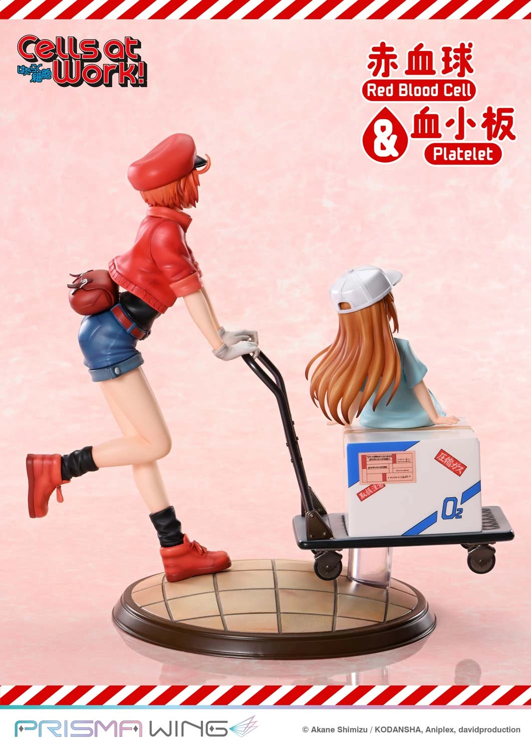 Preventa Resina Glóbulo Rojo & Plaquetas Figura Cells at Work Prime 1 (Licencia) Estudio