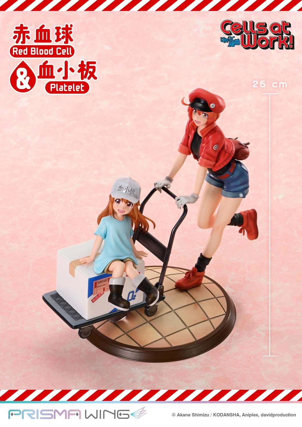 Preventa Resina Glóbulo Rojo & Plaquetas Figura Cells at Work Prime 1 (Licencia) Estudio