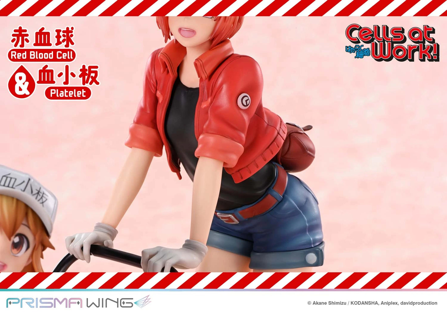 Preventa Resina Glóbulo Rojo & Plaquetas Figura Cells at Work Prime 1 (Licencia) Estudio