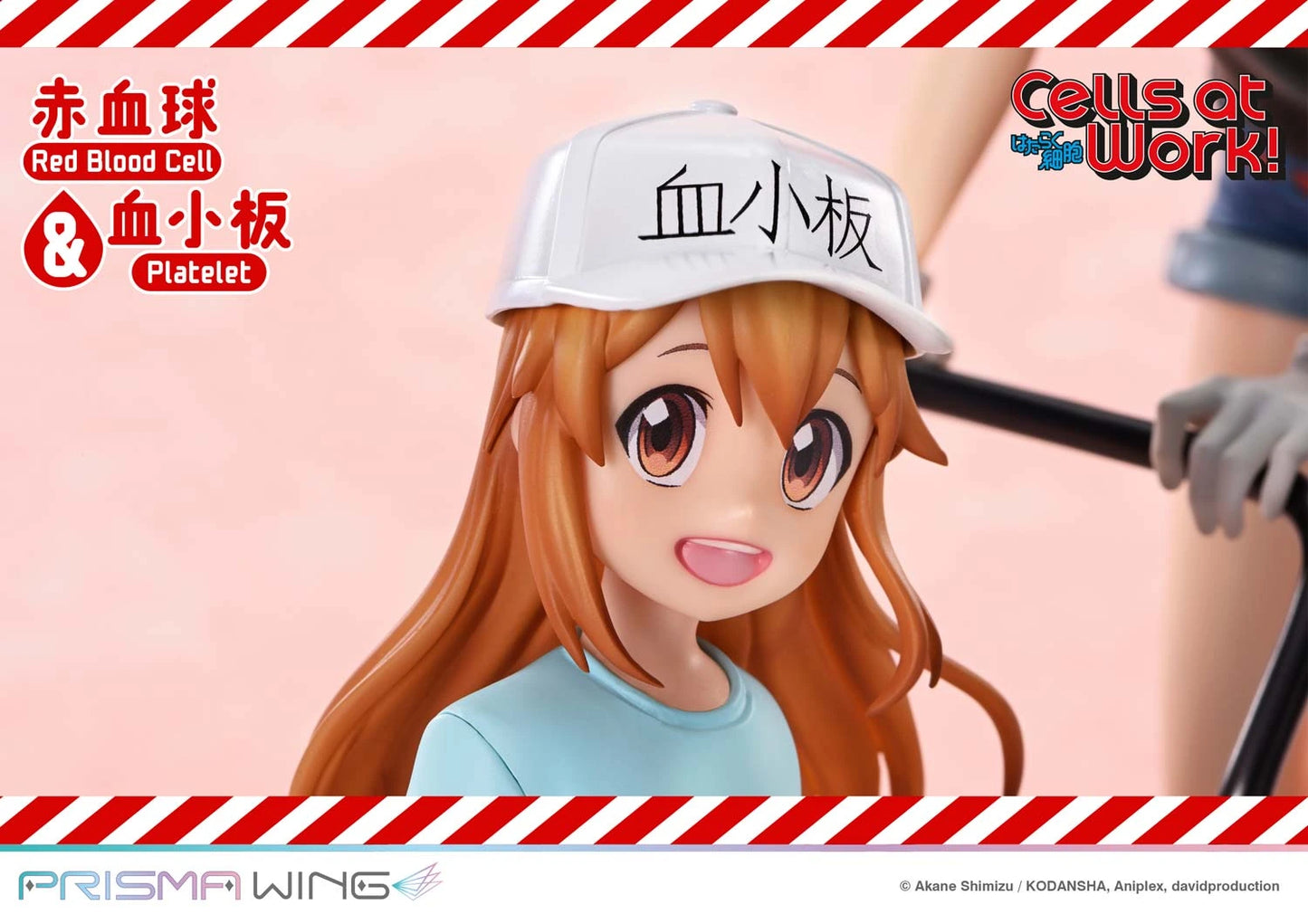 Preventa Resina Glóbulo Rojo & Plaquetas Figura Cells at Work Prime 1 (Licencia) Estudio