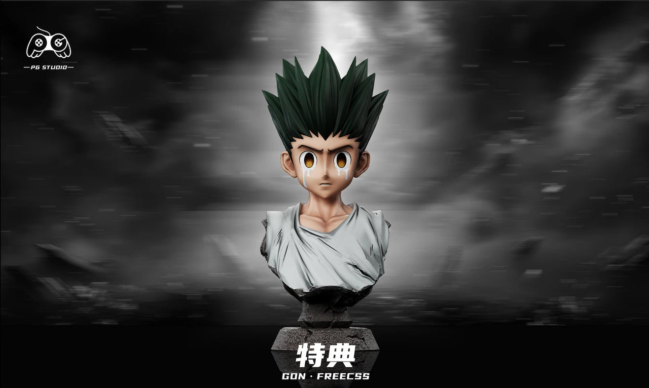 Preventa Resina Gon Freecss Figura Hunter x Hunter PG  Estudio