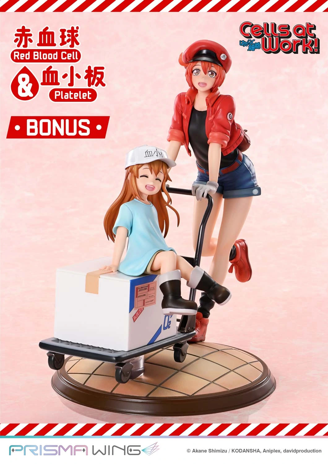 Preventa Resina Glóbulo Rojo & Plaquetas Figura Cells at Work Prime 1 (Licencia) Estudio