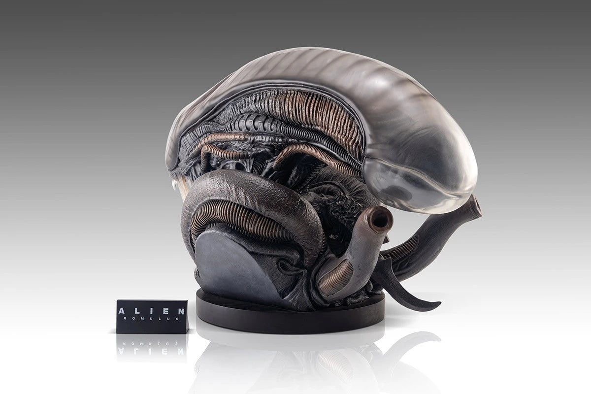 Preventa Resina Xenomorfo Figura Alien: Romulus Hollywood Collectibles Group Estudio