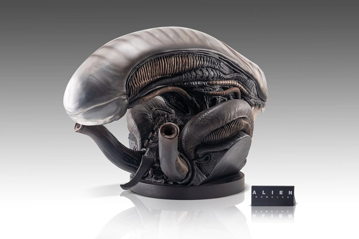 Preventa Resina Xenomorfo Figura Alien: Romulus Hollywood Collectibles Group Estudio