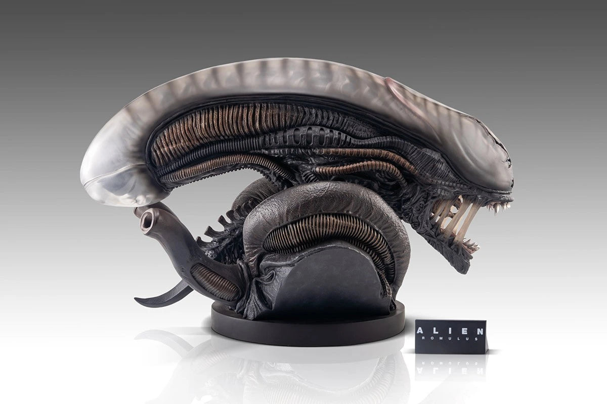 Preventa Resina Xenomorfo Figura Alien: Romulus Hollywood Collectibles Group Estudio